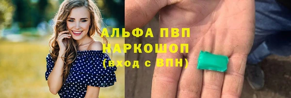 гашик Алзамай