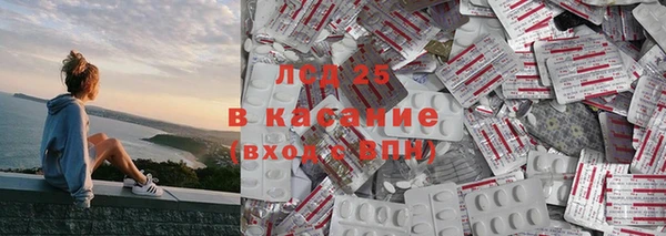 гашик Новокубанск
