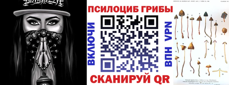 наркошоп  мориарти состав  Псилоцибиновые грибы MAGIC MUSHROOMS  Аксай 